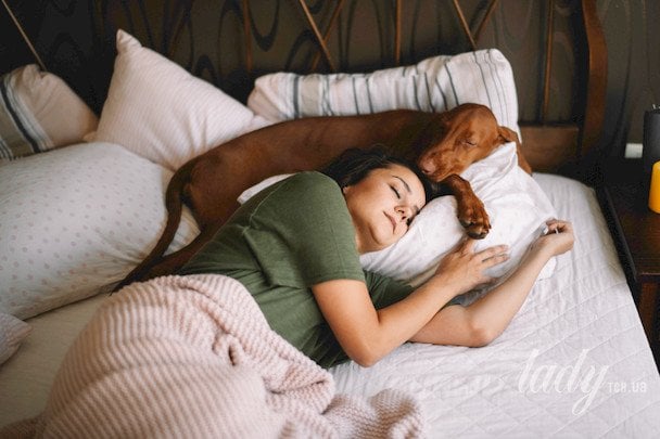 Perro mirando con amor a su dueño favorito durante un momento de conexión especial