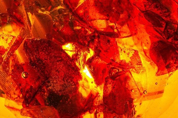 Fragmento de ámbar fósil de hace millones de años anterior a la era de los dinosaurios