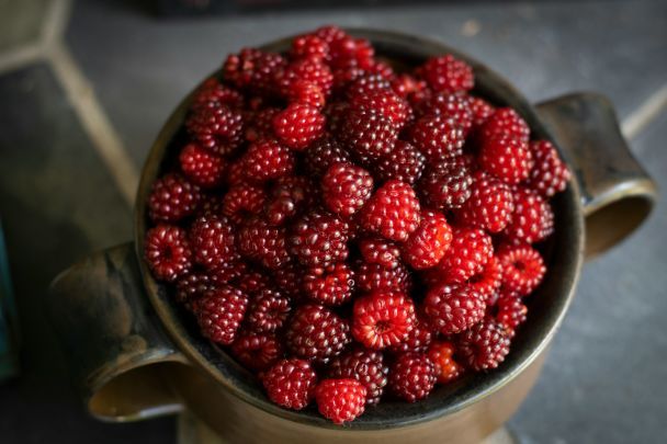Mermelada de frambuesa casera en tarro de cristal con frambuesas frescas alrededor