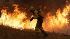 Incendios Madrid arrasan zonas forestales mientras miles de vecinos son evacuados de urgencia