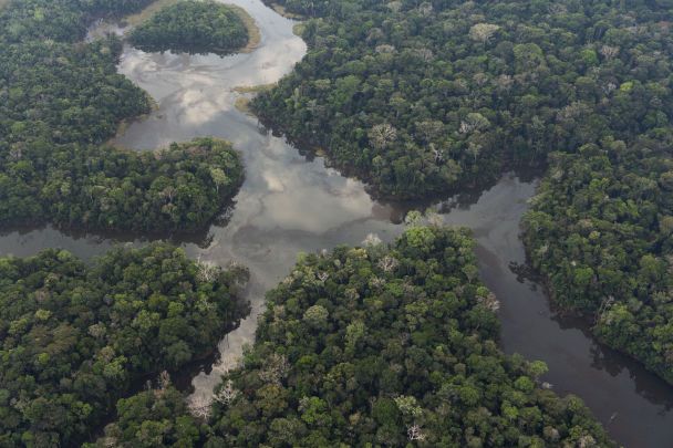Mapa lidar que revela estructuras ocultas de una antigua civilización amazónica bajo el dosel de la selva