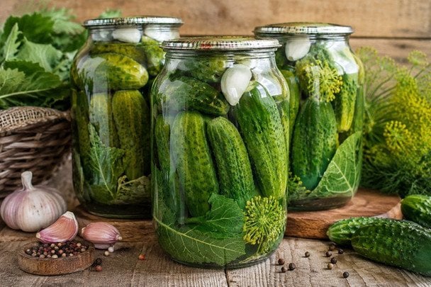 Frascos de pepinos encurtidos listos para conservar durante el invierno con especias y hierbas