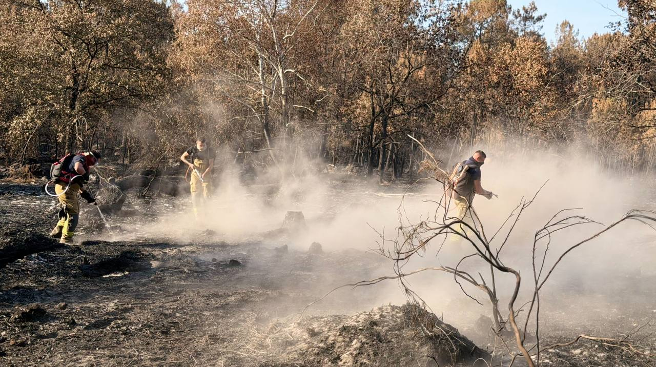 Rescatistas ucranianos desplegados para combatir los incendios Francia junto a bomberos locales