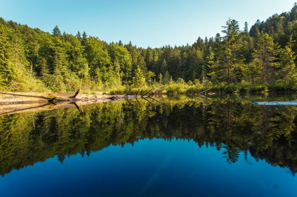Vista panorámica del lago muerto de los Cárpatos rodeado de bosques y montañas en silencio