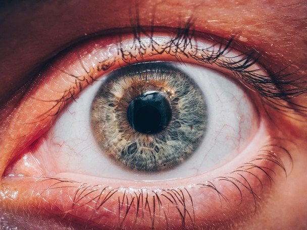 Imagen de retina humana que permite detectar la edad biológica mediante análisis ocular