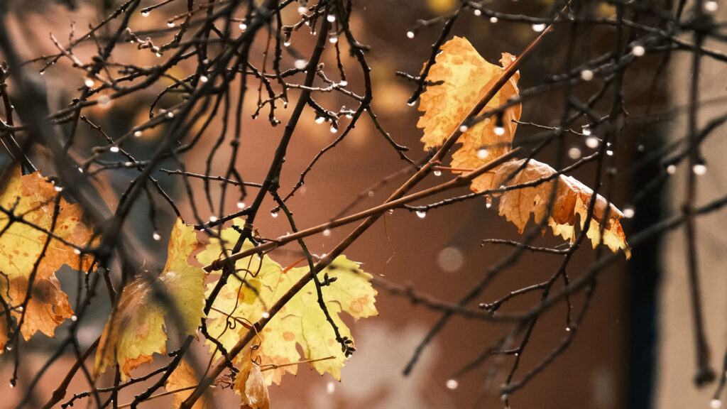 Lluvia y nieve en Ucrania el último día de octubre con cielos grises y calles mojadas