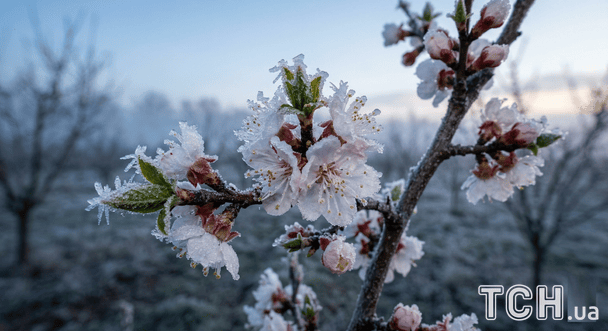 Ola de frío en Europa con heladas de hasta -15 grados que avanzan hacia Ucrania en pleno invierno
